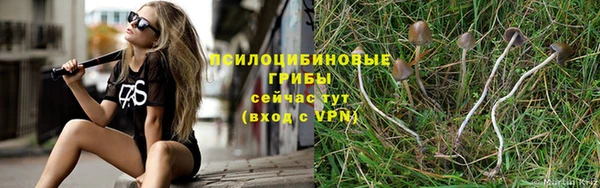 mix Губаха