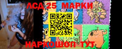 крисы Донской