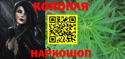 крисы Донской