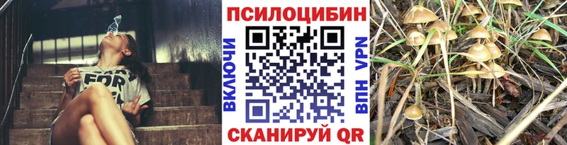 купить закладку  Чистополь  Галлюциногенные грибы мицелий 