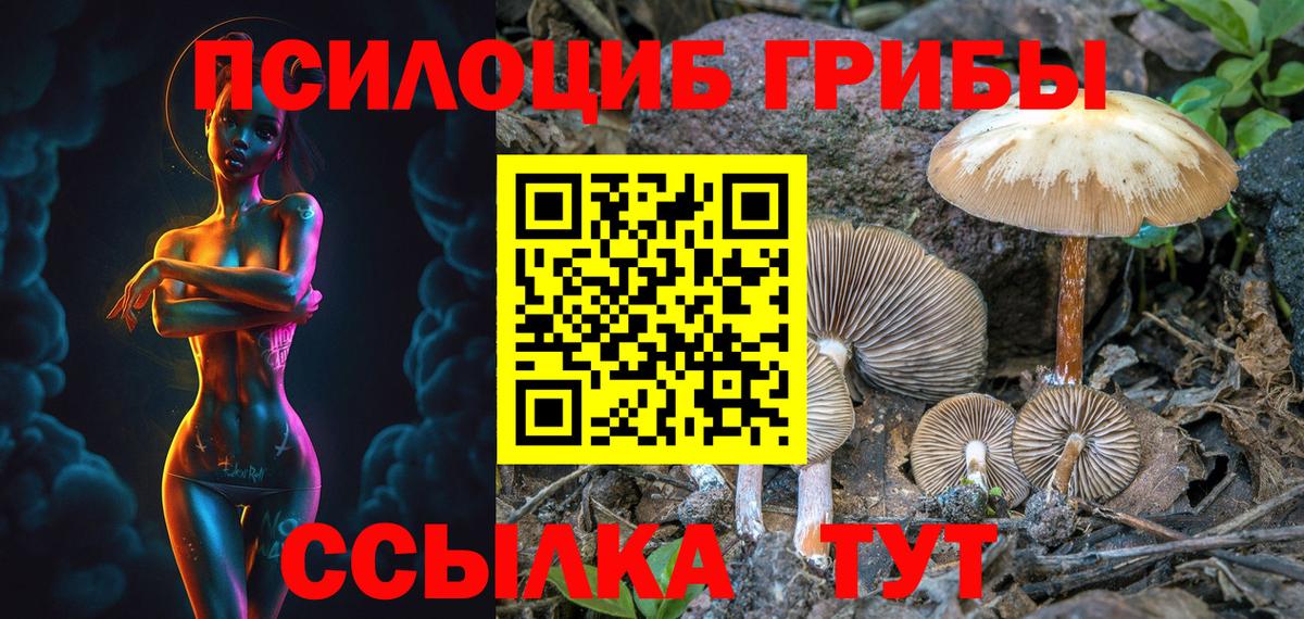 Галлюциногенные грибы прущие грибы  Вход с VPN  Чистополь  Псилоцибиновые грибы прущие грибы 