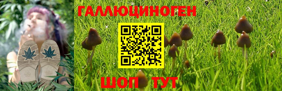 Галлюциногенные грибы MAGIC MUSHROOMS Чистополь